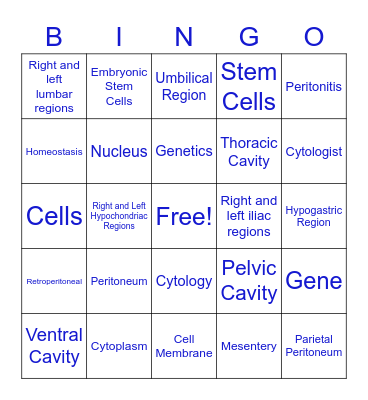 Chapter 2 Medical Definitions Bingo Card