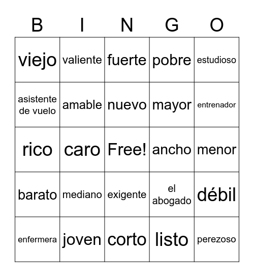 vocab with ser Bingo Card