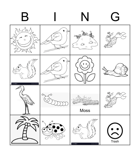 Environmental Bingo Card