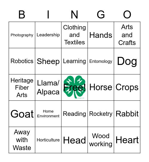 January 2021 4-H Bingo Card