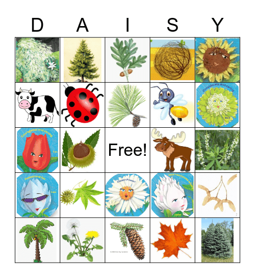 Daisy Earth and Sky Journey Bingo Card