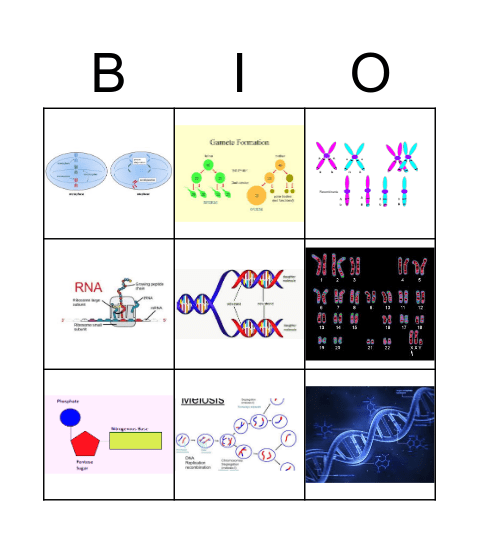 Bio Vocab 96-104 Bingo Card