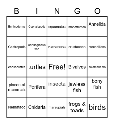 Animal Phylum Bingo Card