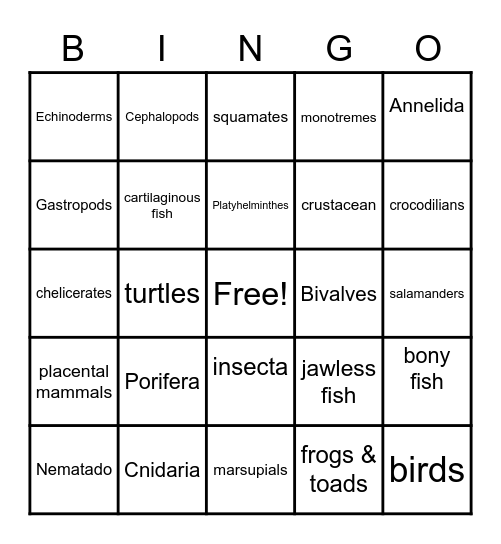 Animal Phylum Bingo Card