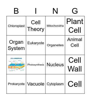 Cell Review Bingo Card