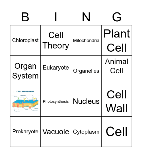 Cell Review Bingo Card