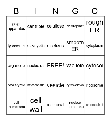 CELLS Bingo Card