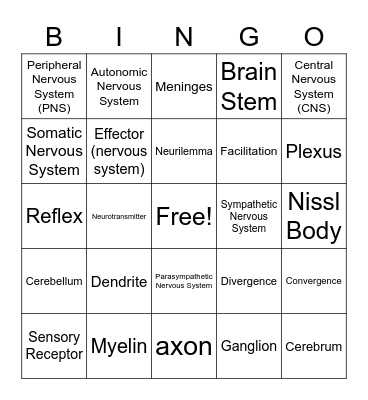 brain vocab Bingo Card