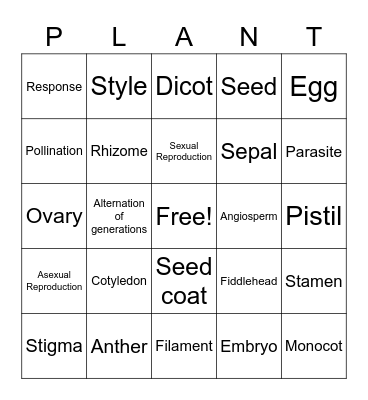 Chapter 2 Bingo Card