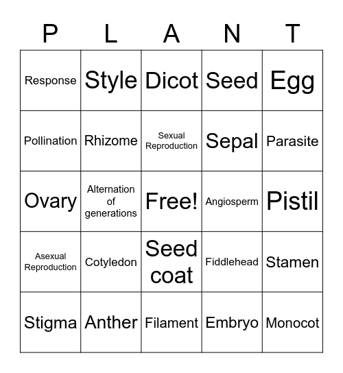 Chapter 2 Bingo Card