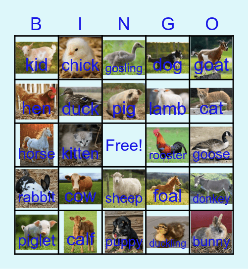 Farm Animals Bingo Card