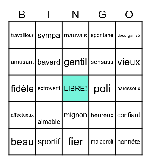 Les adjectifs Bingo Card