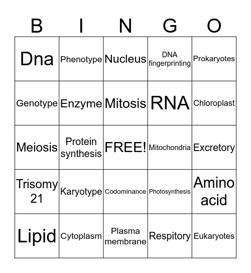 Science Bingo Card