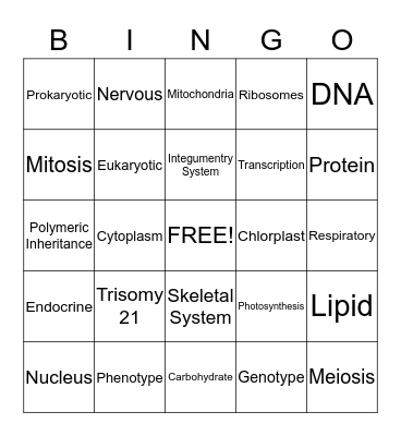Untitled Bingor y hj Bingo Card