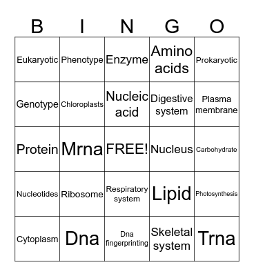 Robert  Bingo Card