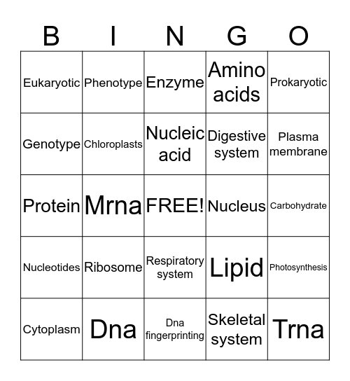 Robert  Bingo Card