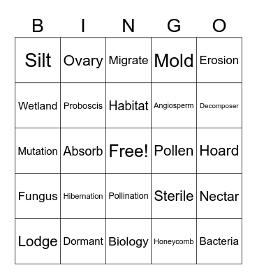 Science Words Bingo Card