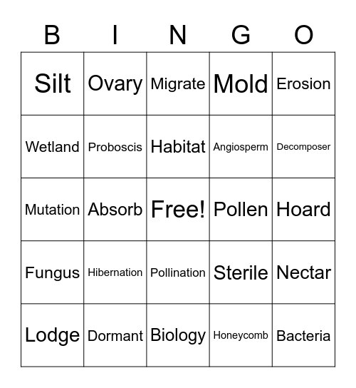 Science Words Bingo Card