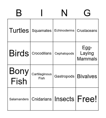 Animal Classification Bingo Card