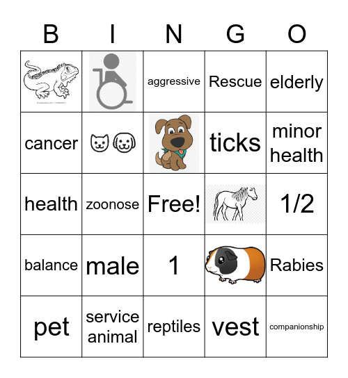 Companion Animals Bingo Card