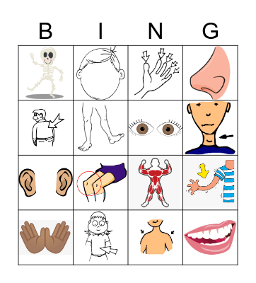 C7 - Parts of Body (images) Bingo Card