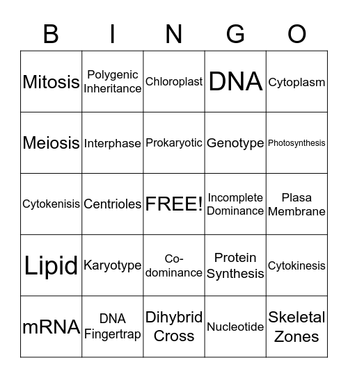 Bokrau Bingo Card