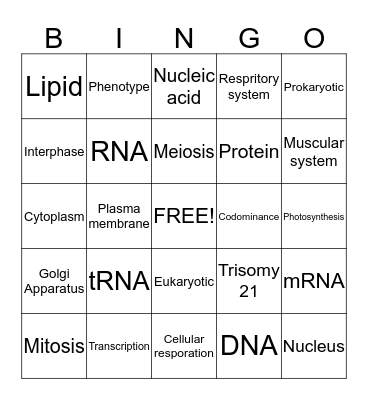 Biology 1 PAP Bingo Card