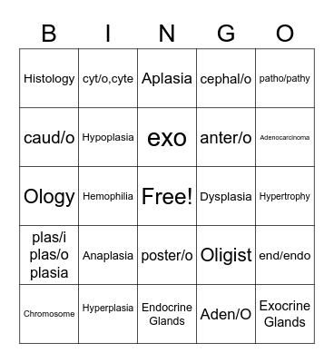 Continuing Chapter 2 Med term. Bingo Card