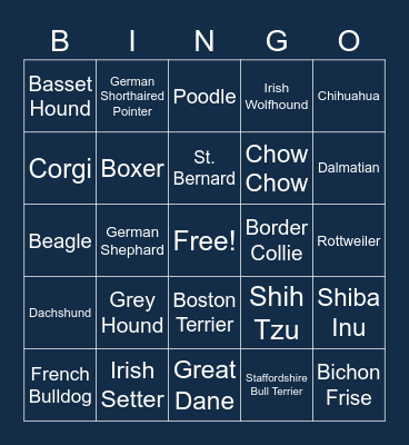 SLVS BINGO Card