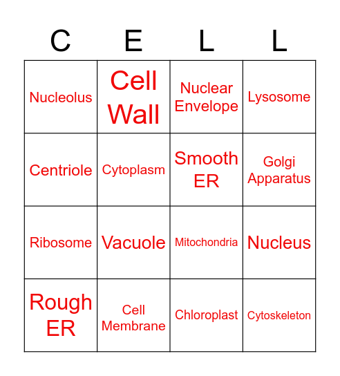 Cell Organelles Bingo Card