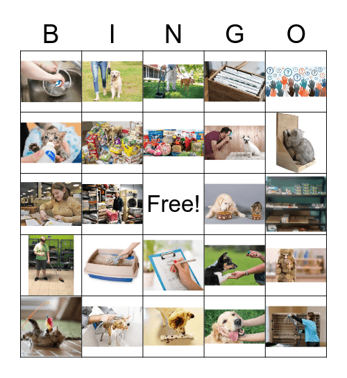 Volunteering: Animal Shelter Bingo Card