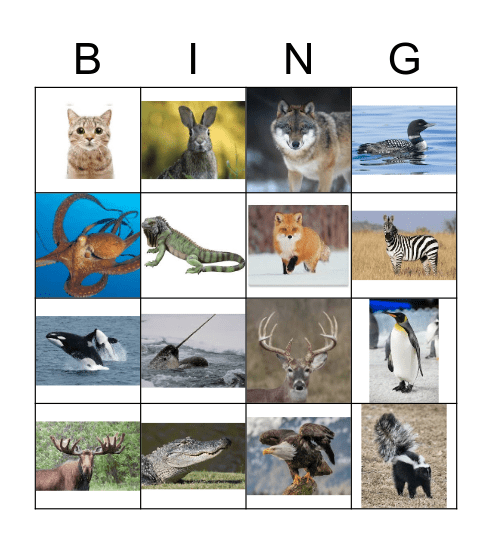 Animal Bingo Card
