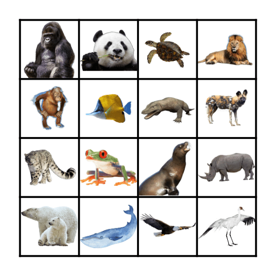 Endangered Animals Bingo Card