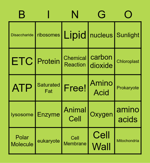 Midterm Exam Review Bingo Card