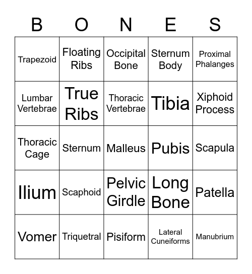 Skeletal Bingo Card