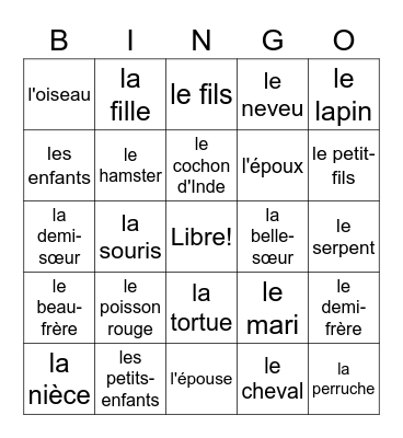 French Family 2 Bingo Card