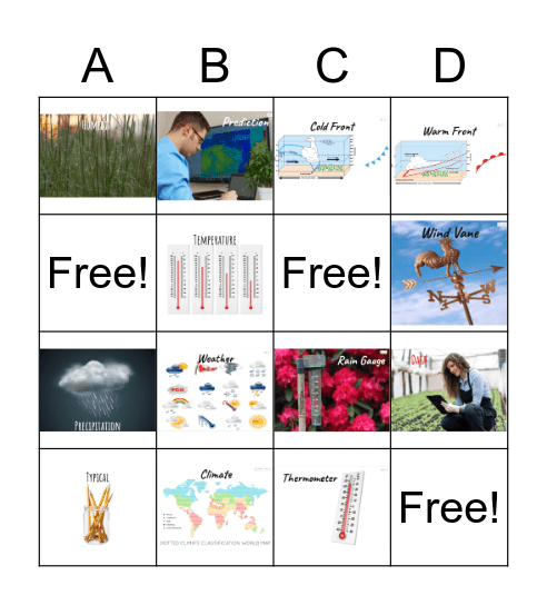 Weather and Climate Bingo Card