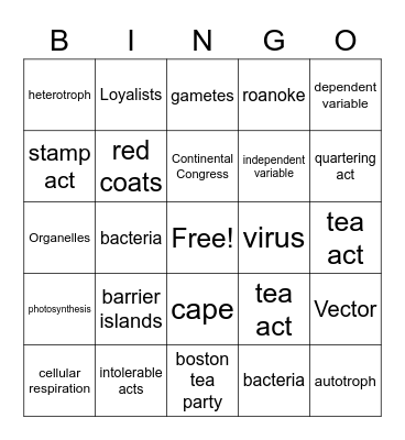 Eagle Time 2 Bingo Card