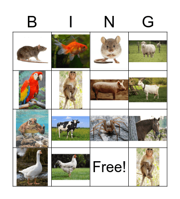 Animals Bingo Card