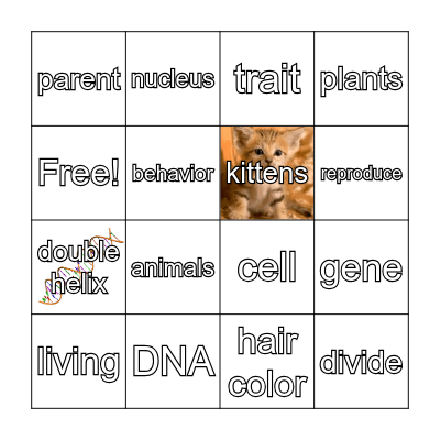 DNA Loteria Bingo Card