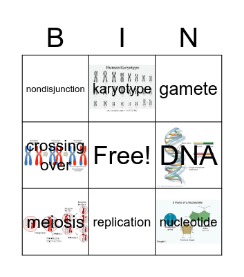 QTR2: HW#6: Vocabulary 96-104 Bingo Card