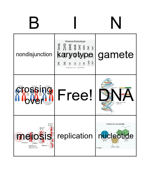 QTR2: HW#6: Vocabulary 96-104 Bingo Card