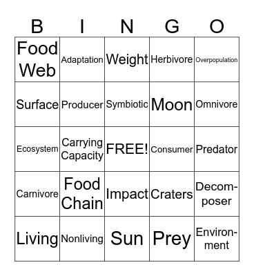 Set 5 Bingo Card