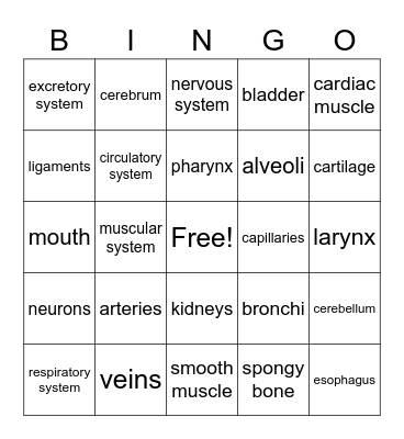 Human Body Bingo! Bingo Card