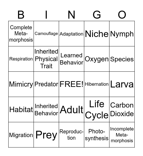 Set 6 Bingo Card