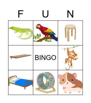Pets and furniture Bingo Card