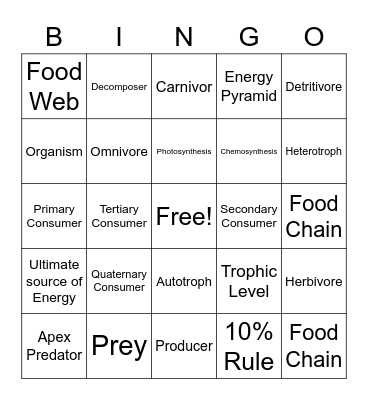 Transfer of Energy Bingo Card