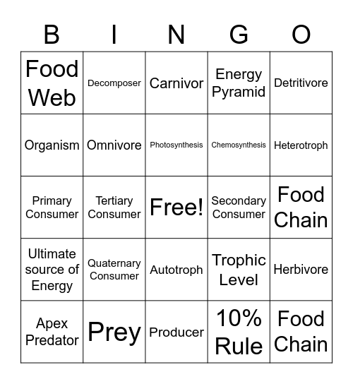 Transfer of Energy Bingo Card