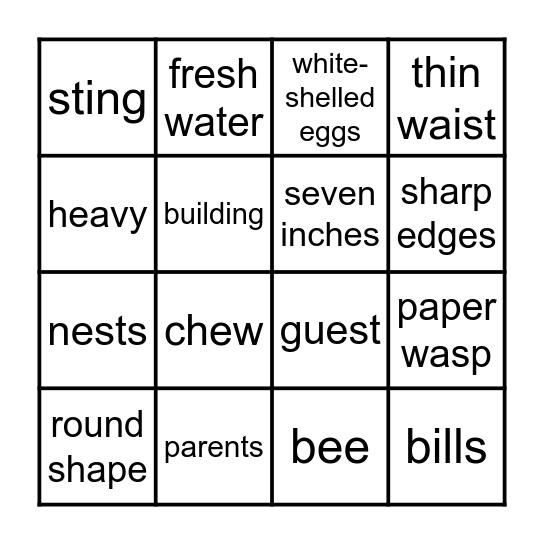 1.8  Shoebills/The Wasp Bingo Card