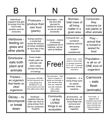 Energy Flow Bingo Card
